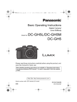 Panasonic DCGH5EC Operating instructions