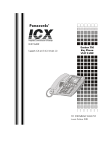 Panasonic S-ICX User manual