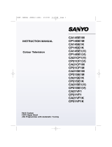 Sanyo CP21VF1K User manual