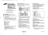 Samsung CS21E21 User manual