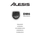 iON Alesis DM6 User manual
