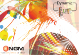 NGM Dynamic Fun User manual