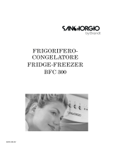 San Giorgio BFC300 User manual
