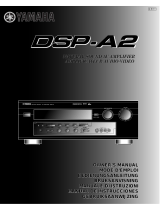 Yamaha DSP-A2 Owner's manual