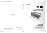 Yamaha TSX-100 Owner's manual