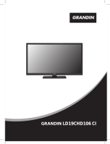 Grandin LD19CHD106 CI User manual