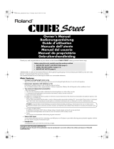 Roland CUBE STREET User manual