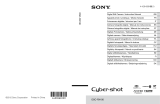Sony Série Cyber Shot DSC-RX100 User manual