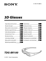 Sony TDG-BR100 User manual