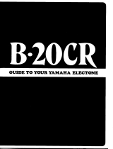 Yamaha B-20CR Owner's manual