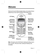 Motorola C300 User manual
