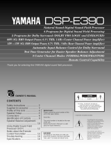 Yamaha DSP-100 Owner's manual