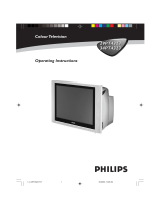Philips 34PT4323/71R User manual