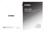 Yamaha DSP-E800 User manual
