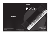 Yamaha P-250 Owner's manual