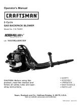 Craftsman 316.794991 Owner's manual