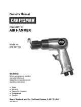 Craftsman 875.19119 User manual