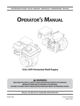 MTD 31A-2M1A731 User manual