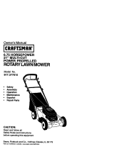 Craftsman 917.377810 Owner's manual