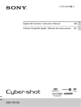 Sony Cyber Shot DSC-RX100 User manual