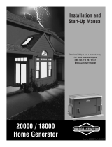 Briggs & Stratton 20000 User manual