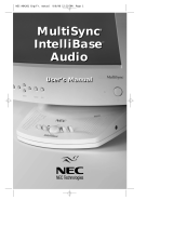 NEC IB-AUDIO User manual