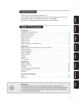 Philips 21PT5408/01 User manual