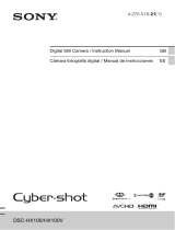 Sony CYBER-SHOT AC-L200C User manual