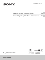Sony Cyber Shot DSC-WX300 User manual