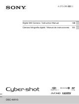 Sony Cyber-shot DSCWX10B User manual