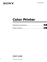 Sony DMP-1000 User manual