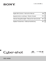 Sony Série Cyber Shot DSC-W560 User manual