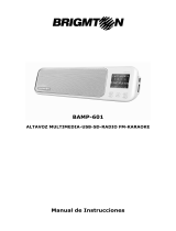 Brigmton BAMP-601 Owner's manual