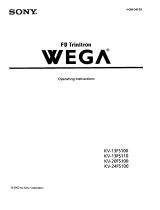 Sony KV-13FS100 Owner's manual