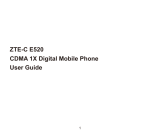 ZTE C ZTE-C E520 User manual