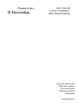 Electrolux EHS60200P User manual