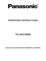 Panasonic TX24C300B Operating instructions