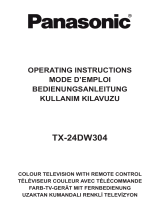 Panasonic TX24DW304 Owner's manual