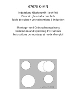 Aeg-Electrolux 67670K-MN 46F User manual