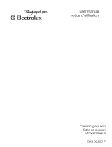 Electrolux EHS60200P User manual