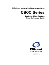 Efficient Networks Network Router 5800 User manual