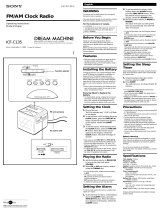 Sony Clock Radio ICF -C135 User manual