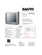 Sanyo DS24424 User manual