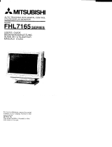 NEC FHL7165Series Owner's manual