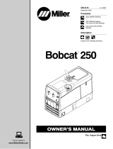 Miller BOBCAT 250 (ROBIN) Owner's manual