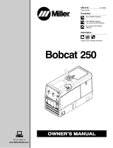 Miller BOBCAT 250 (ONAN) Owner's manual