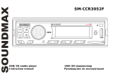 SoundMax SM-CCR3052F User manual