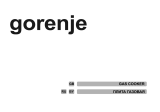 Gorenje G51101IW User manual