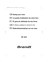 Brandt FE222WS1 Owner's manual