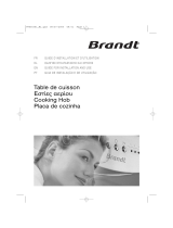 Brandt TE270BS1 Owner's manual